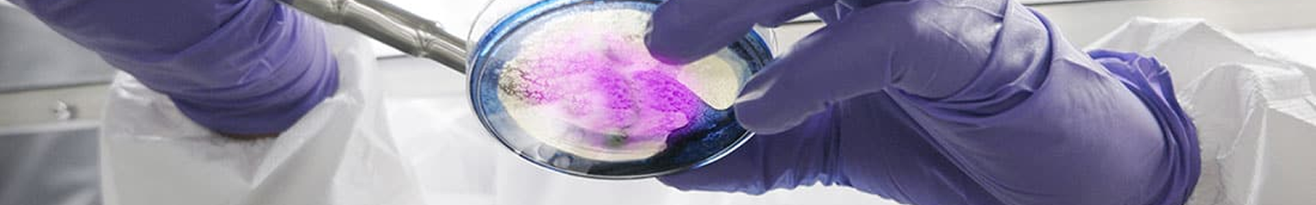 Imagery GlobalLifeSciences 1