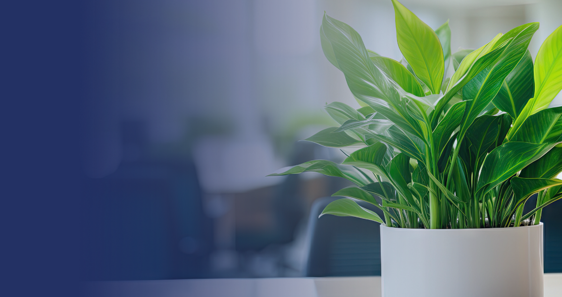 environmental social and governance new banner