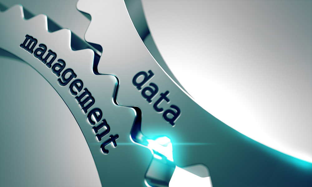 The CFOs Expanding Data Governance Role